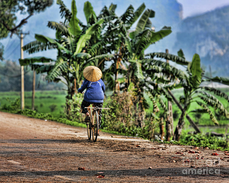 One Vietnamese Woman Bike  Photograph by Chuck Kuhn