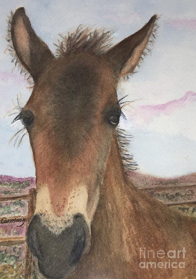 One Week Old Filly Painting by Sue Carmony