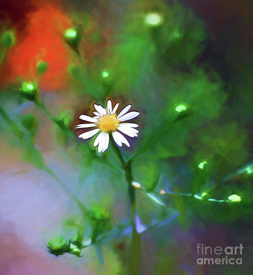 One White Flower Photograph by Kerri Farley