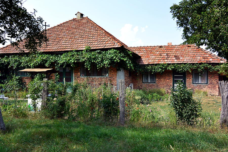 House Photograph - One With Nature by Two Small Potatoes House Photograph - One With Nature by Two Small Potatoes