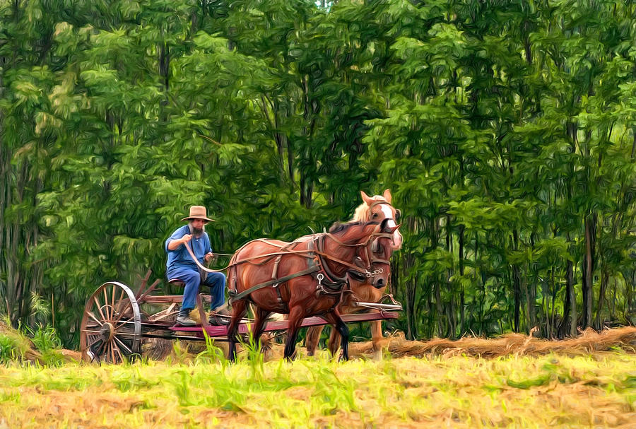 One With the Land - Paint Photograph by Steve Harrington - Fine Art America