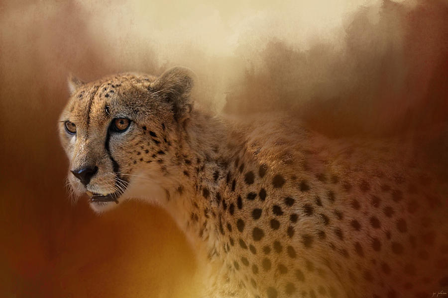 Cheetah Photograph - One With The Sun by Jai Johnson