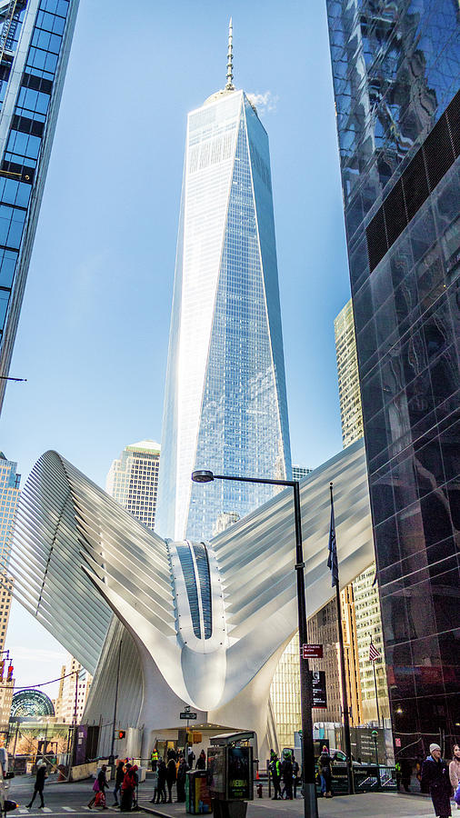 One World Trade Center Photograph by Robert Zeigler