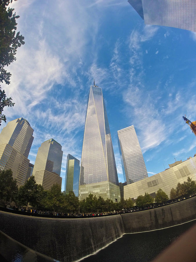 One World Trade Center Photograph by Steven Lapkin