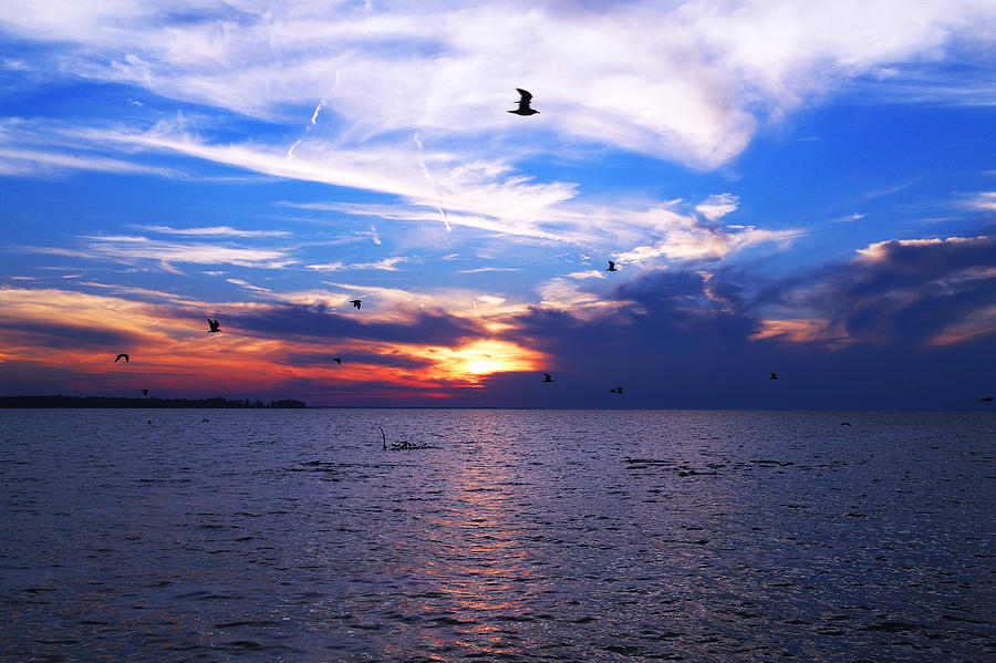 Sunset Photograph - Oneida Lake Sunset VIII by David Stasiak
