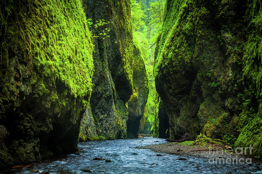 Oneonta Chasm Photograph by Inge Johnsson