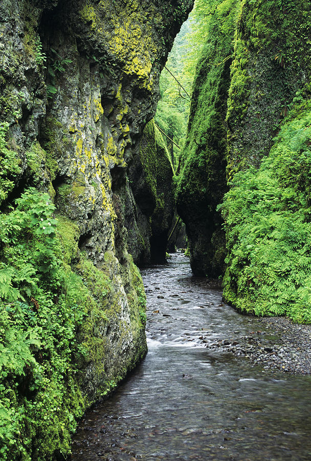 Unique Photograph - Oneonta Creek and Gorge by Greg Vaughn - Printscapes