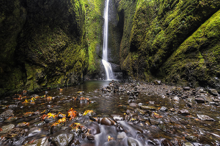 Oneonta Gorge Photograph by Mark Kiver