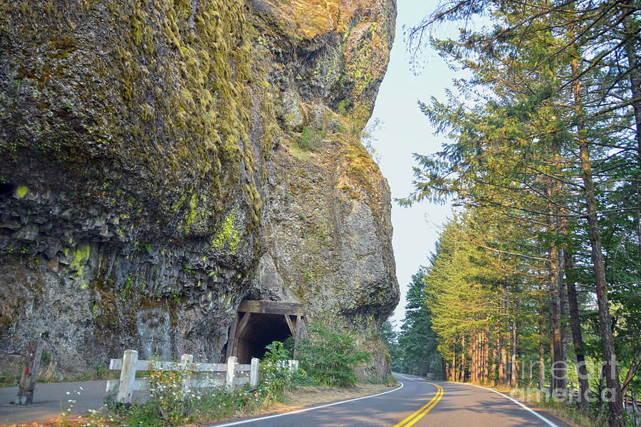 Oneonta Tunnel, Oregon Photograph by Catherine Sherman