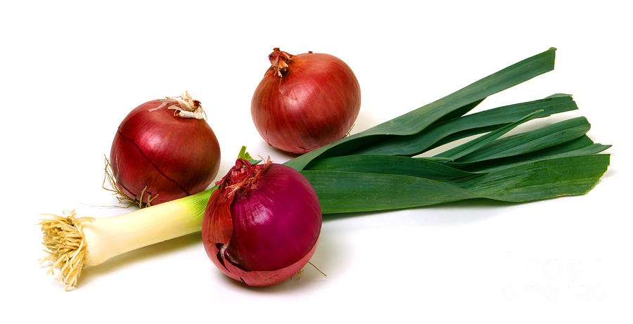 Onion And Leek Photograph by Olivier Le Queinec