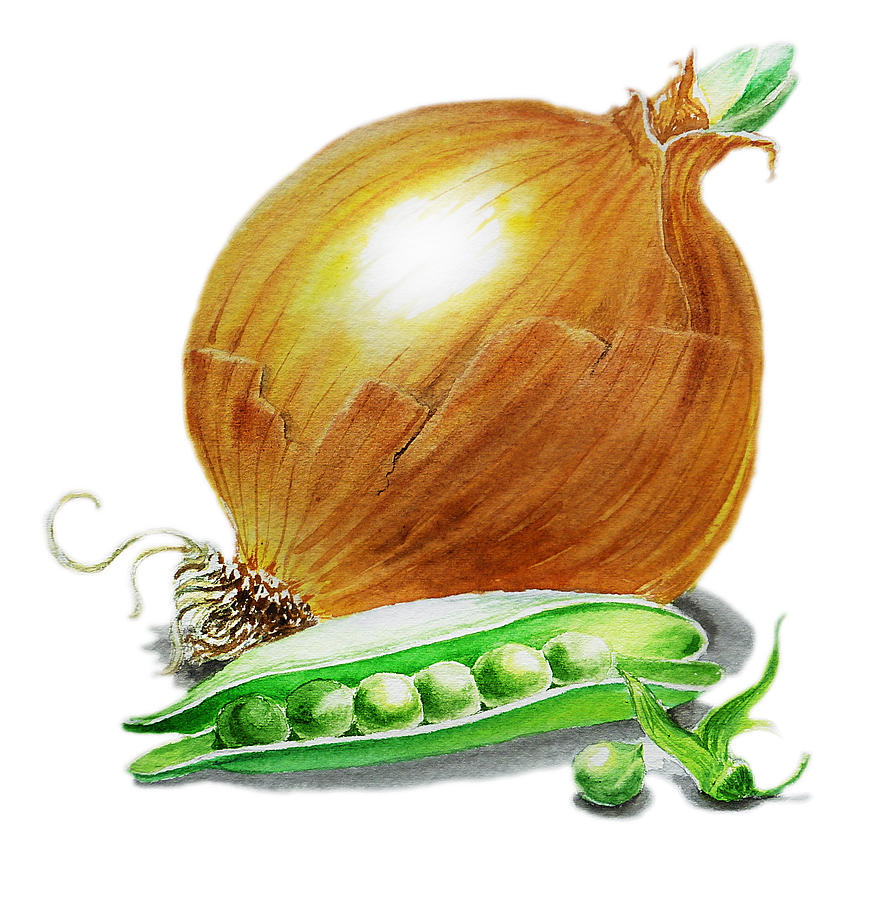 Onion Painting - Onion and Peas by Irina Sztukowski