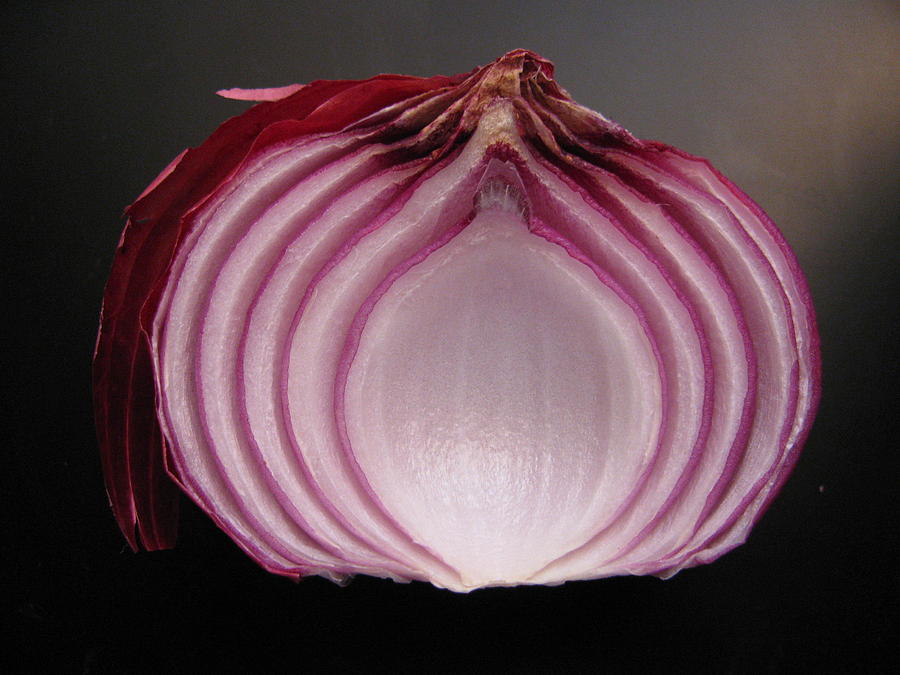 Onion Photograph - Onion by Lindie Racz