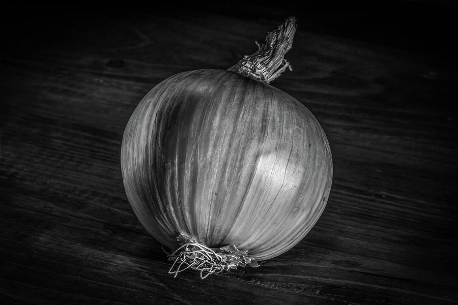 Onion Photograph by Ray Congrove