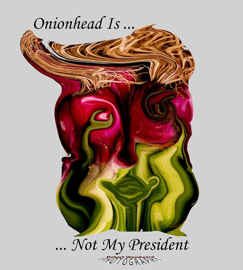 Onionhead Transparency Photograph by Robert Woodward