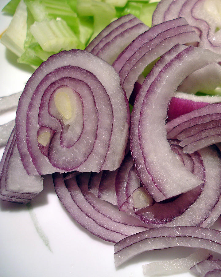 Onions and Celery Photograph by Lynda Lehmann