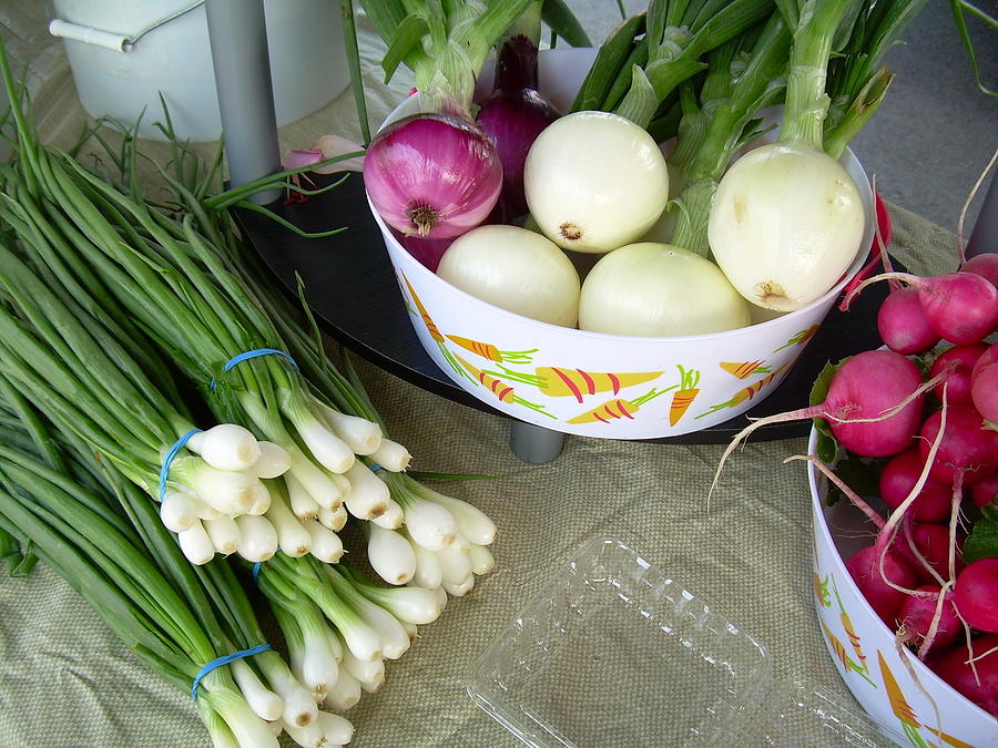 Onions and Radishes at Farmers Market Photograph by Kent Lorentzen