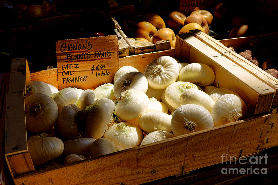 Onions Blancs Frais Photograph by Olivier Le Queinec