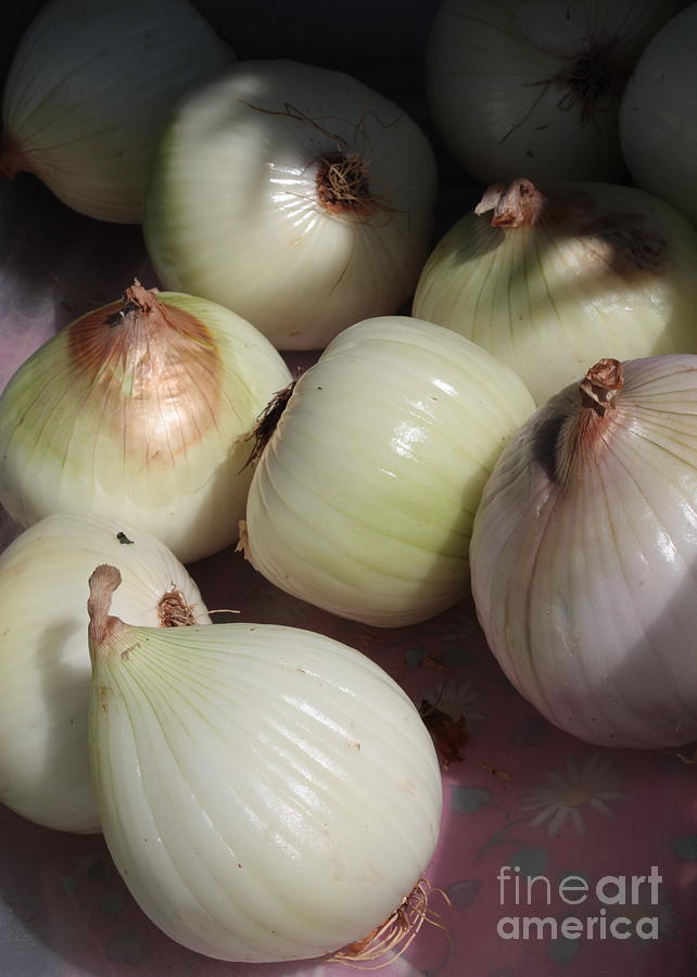 Onions Photograph by Carol Groenen