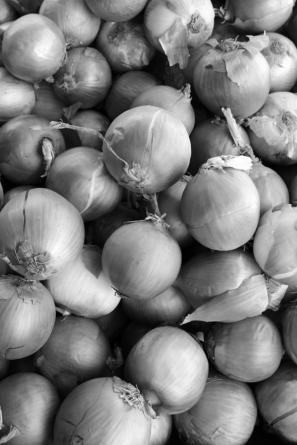 Onions Photograph by Robert Wilder Jr