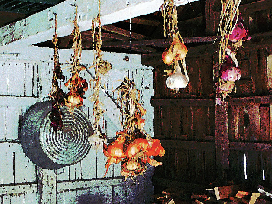 Onions Photograph by Susan Savad