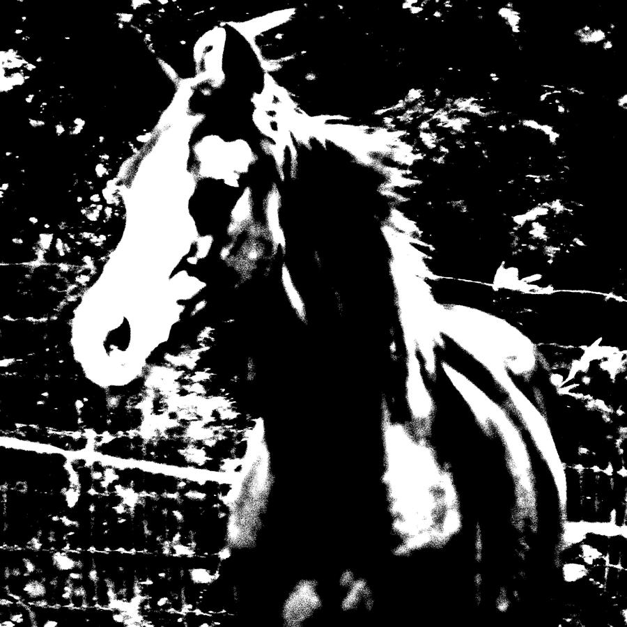 Horse Photograph - Only a Yearling by Donna Thomas