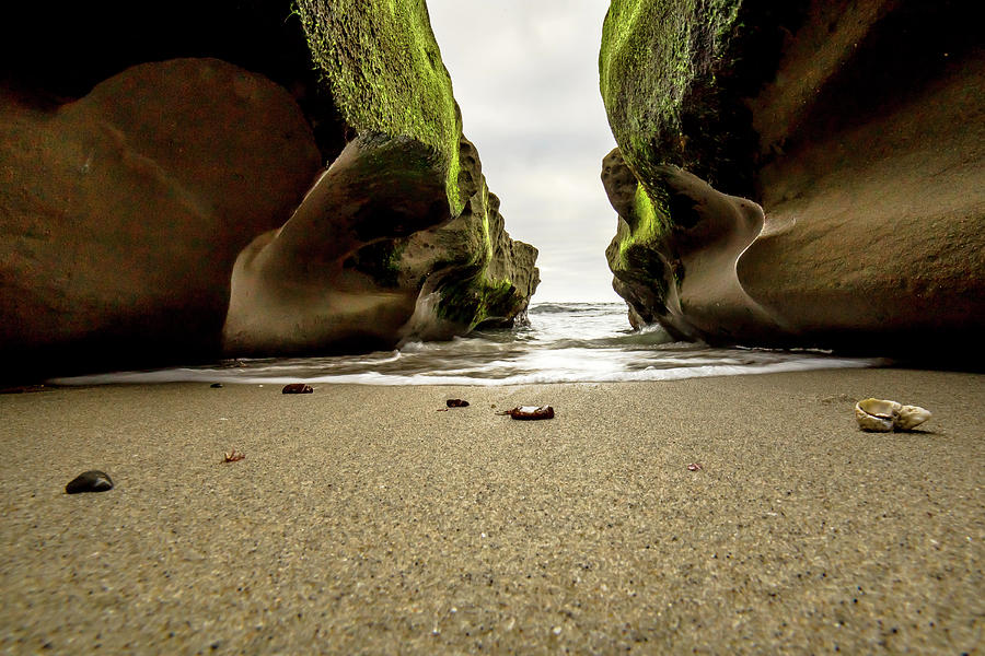 Only at Low Tide Photograph by Ryan Weddle