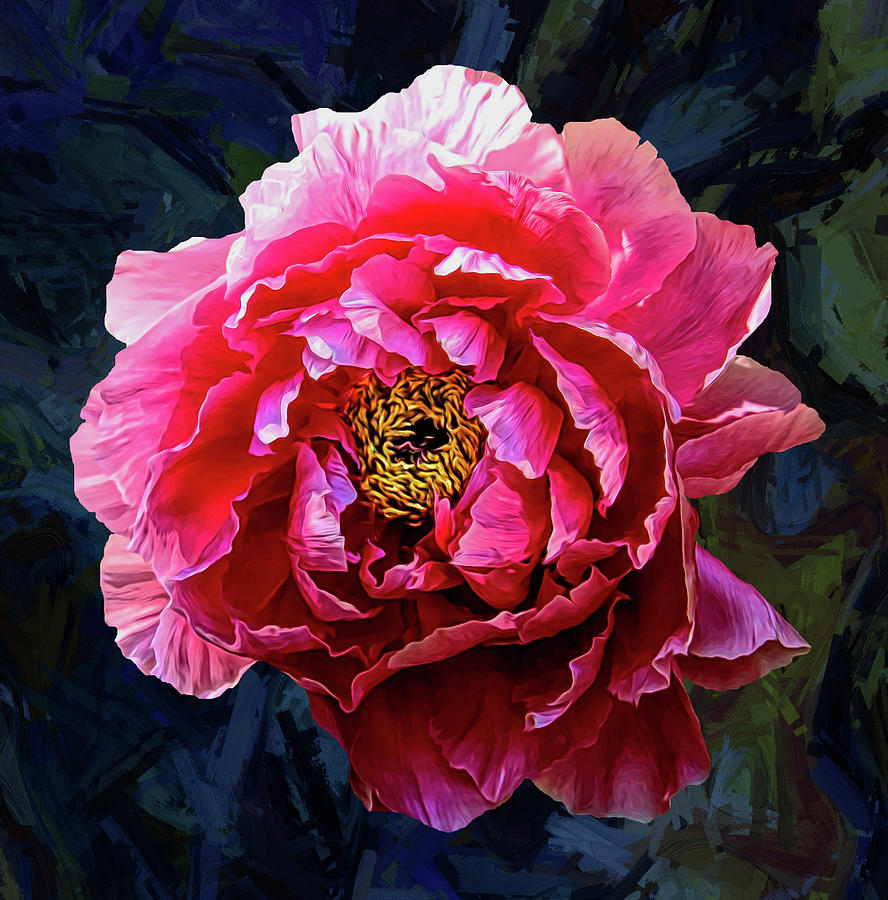 The Only Single Peony Digital Art by Grace Iradian | Fine Art America