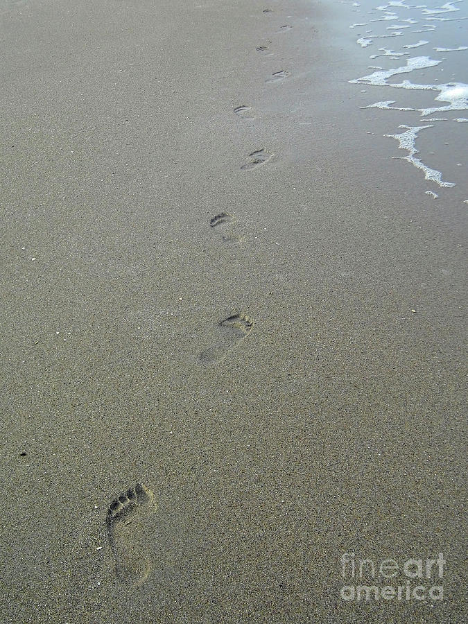Only One Set Of Footprints Photograph by D Hackett