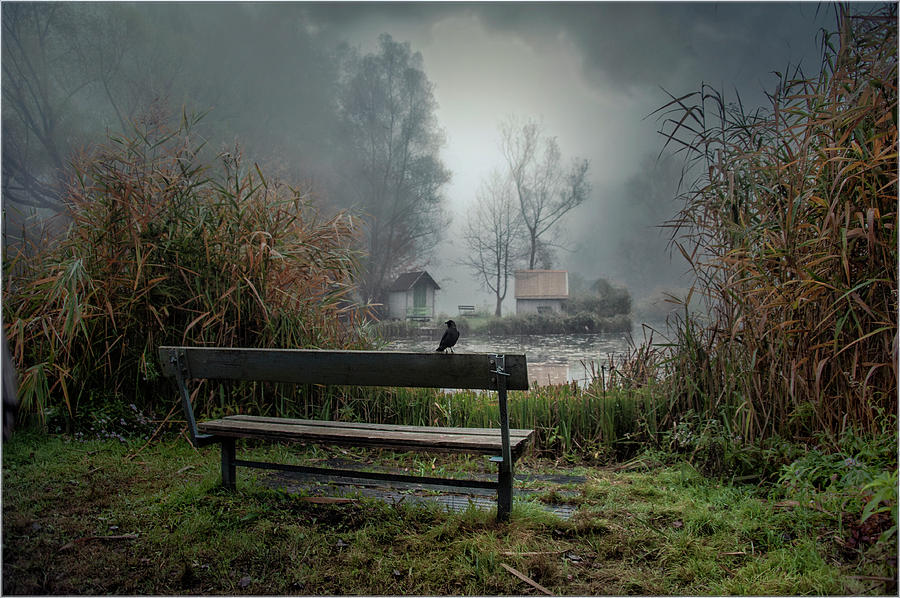 Landscape Photograph - Only the Lonely by Gabor Dvornik