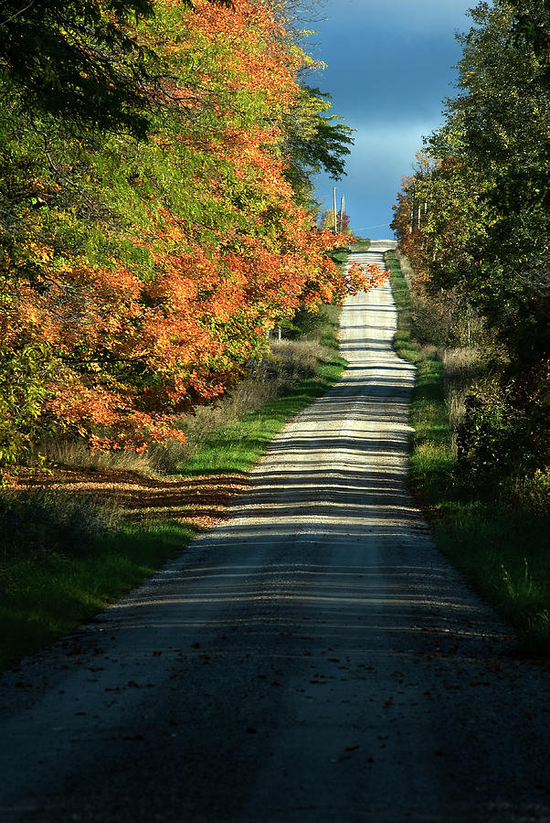 Ontario Autumn country road  Photograph by Steve Somerville