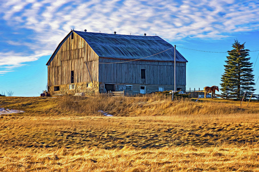 Ontario Farm 4 - Paint Photograph by Steve Harrington