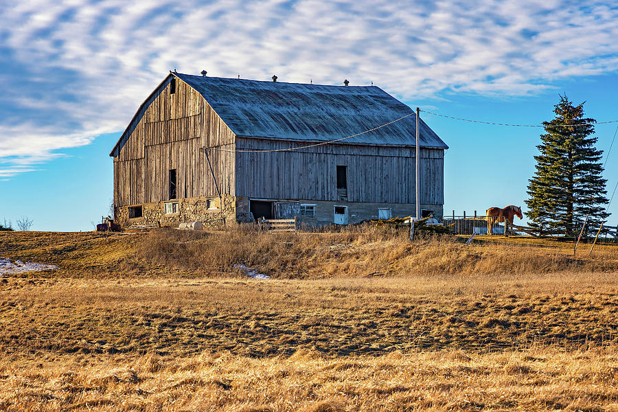 Winter Photograph - Ontario Farm 4 by Steve Harrington