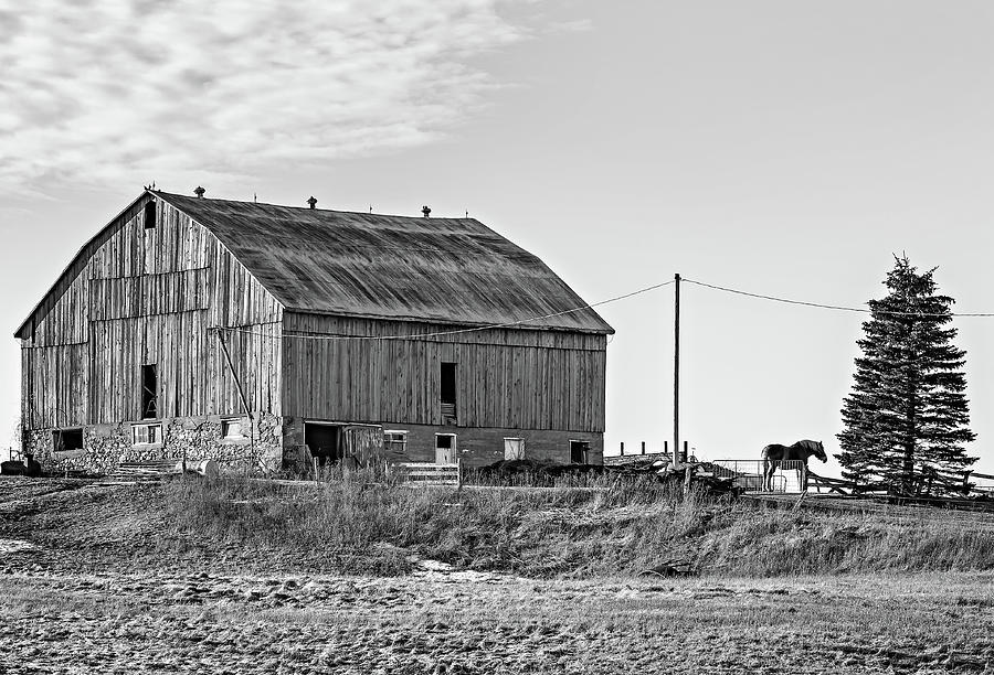 Ontario Farm 5 bw Photograph by Steve Harrington