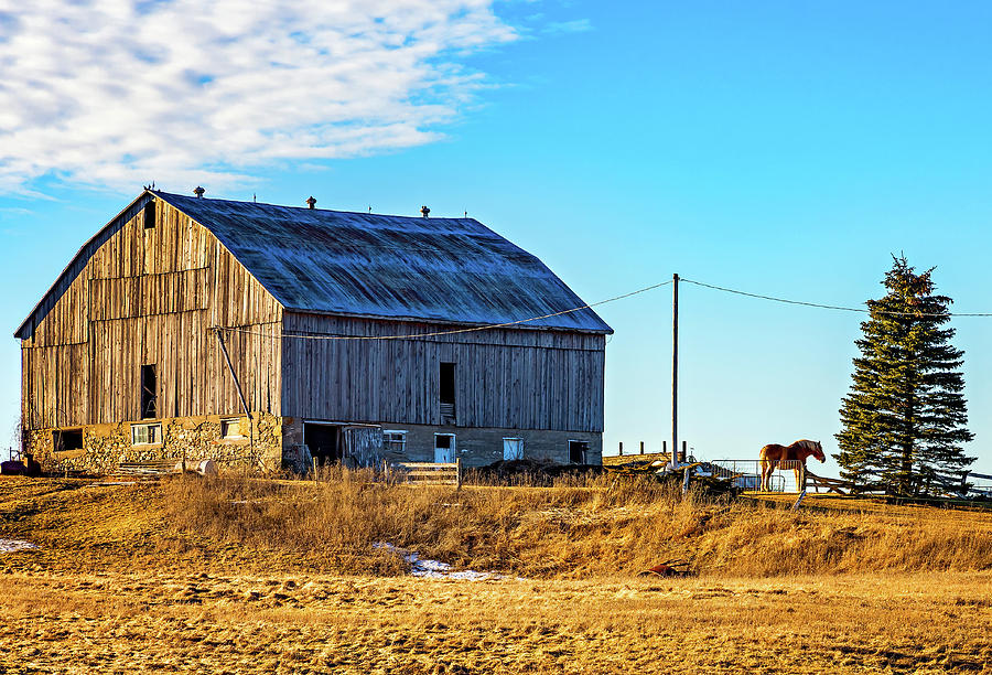 Ontario Farm 5 Photograph by Steve Harrington