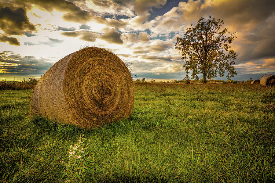 Ontario Hay Photograph by Karl Anderson