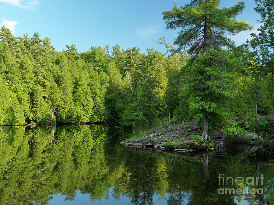 Ontario Nature Scenery Photograph by Oleksiy Maksymenko