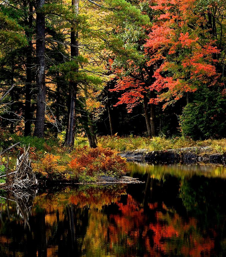 Ontario reflections Photograph by Wayne Doyle - Fine Art America