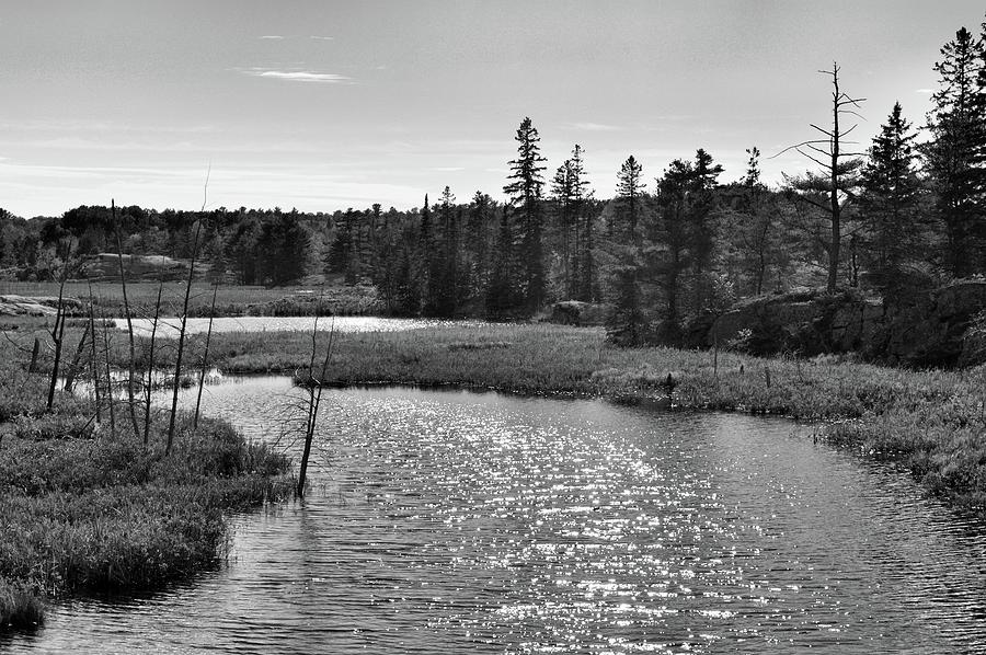 Ontario Wilderness BW  Photograph by Lyle Crump