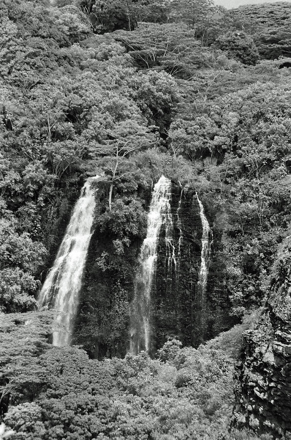 Opaekaa Falls 08 - SFX 200 BW - Kauai, Hawaii Photograph by Pamela Critchlow