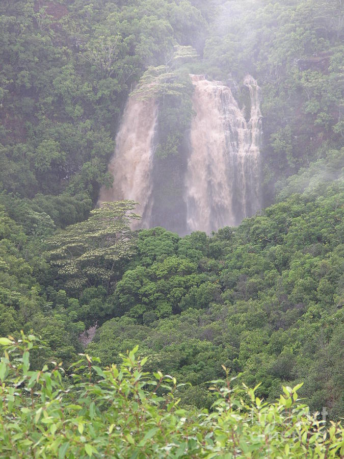 Opaekaa Falls on Kauai During a Storm Photograph by Mary Deal