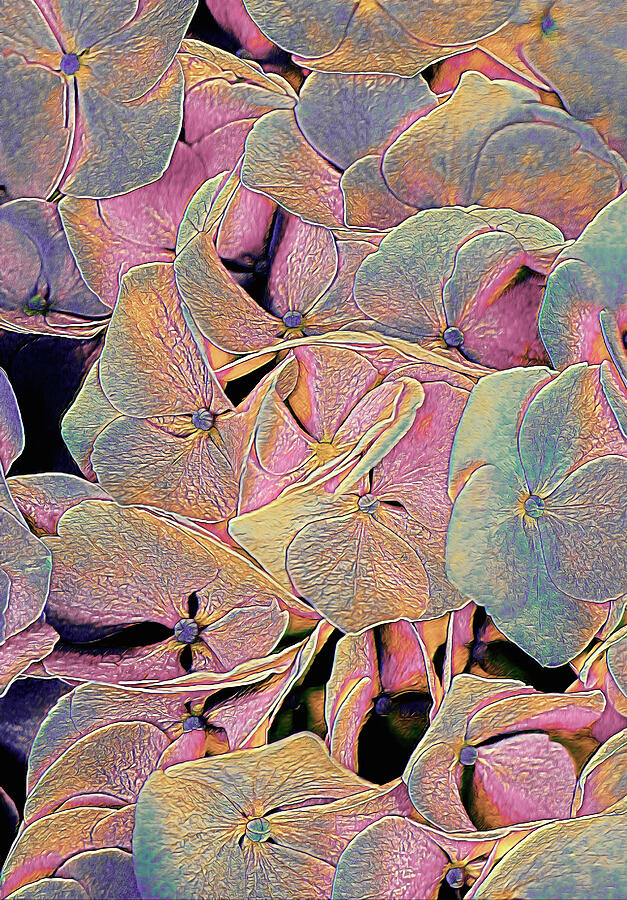 Opal Hydrangea Mixed Media by Susan Maxwell Schmidt