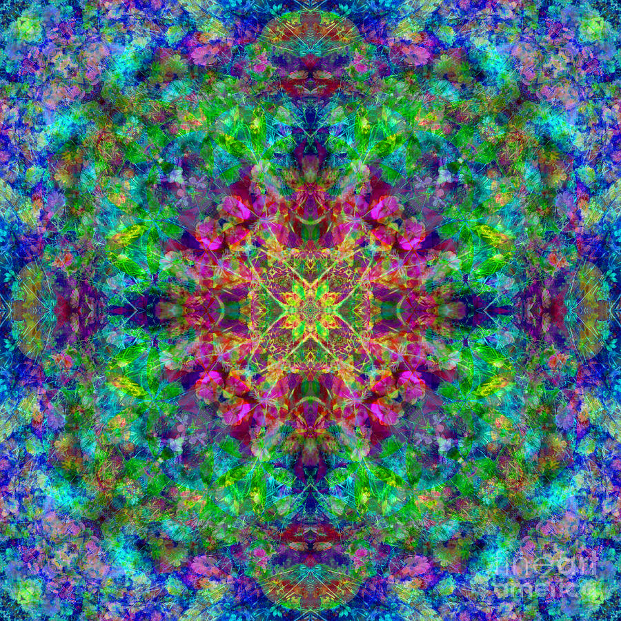 Opal Poppy Cosmos Mandala Digital Art by Susan Bloom - Fine Art America