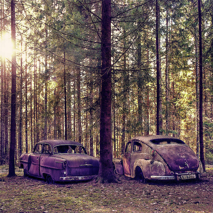 Opel and Volvo in the forest Photograph by Anders Kustas