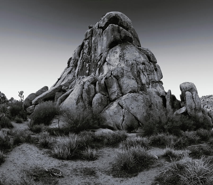 Open Desert Perch - Black White Photograph by Paul Breitkreuz