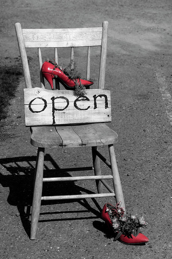Open Photograph by Ginger Stein