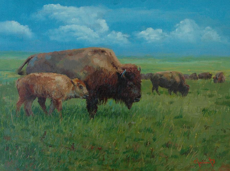 Bison Painting - Open Range by Jim Clements