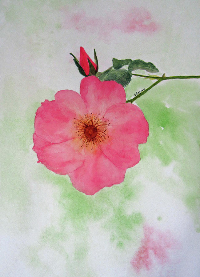 Open Rose Painting by Elvira Ingram