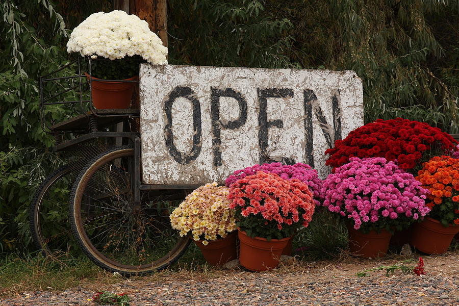 Open Sign With Flowers Fine Art Photo Photograph