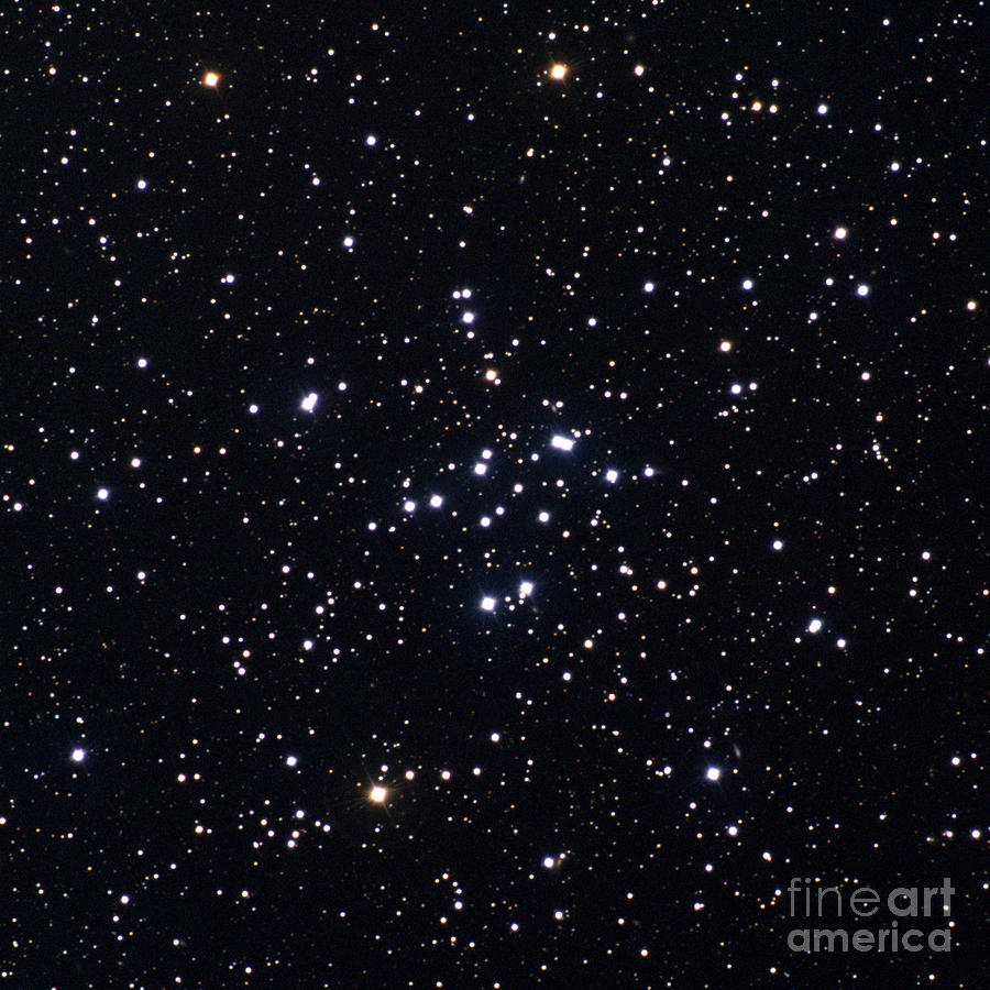 Open Star Cluster, M34, Ngc 1039 Photograph by REU Program/NOAO/AURA/NSF