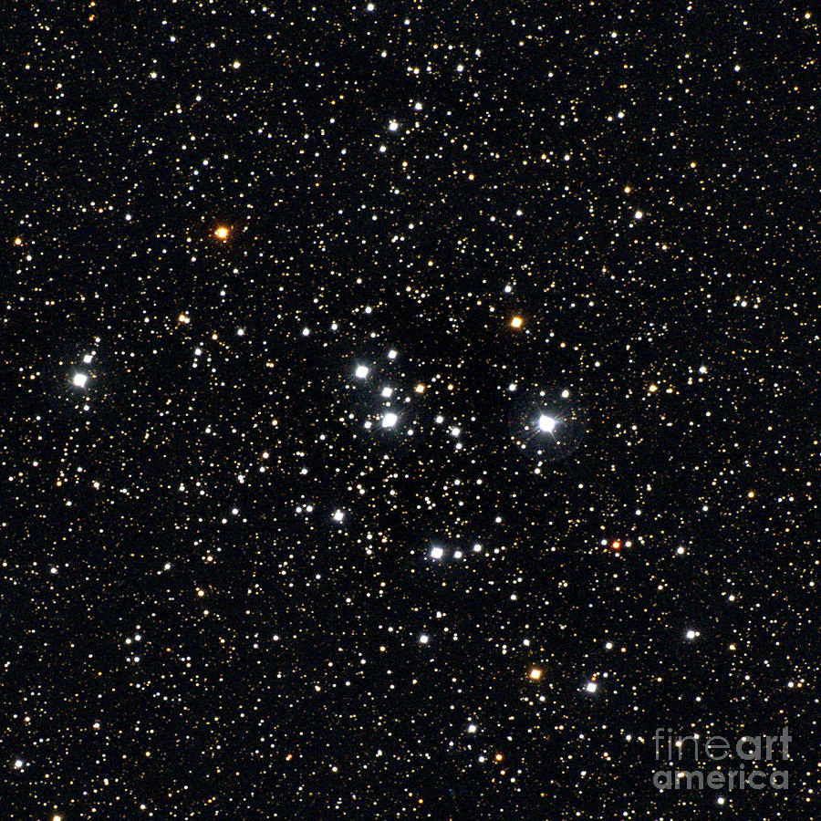 Open Star Cluster, M47, Ngc 2422 Photograph by Noao/aura/nsf